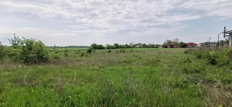 Corbeanca Padure Teren 1000mp - 3