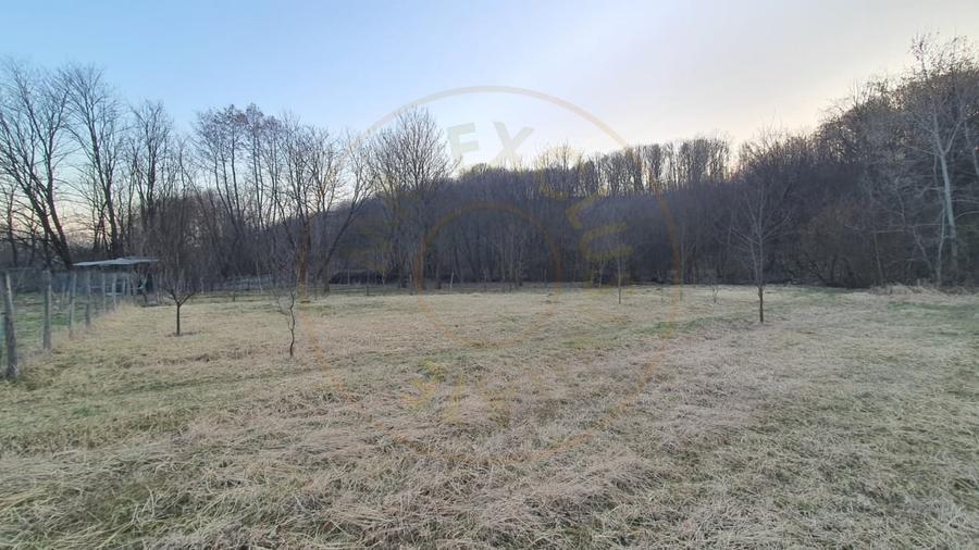 Teren intravilan pentru Casa de Vacanta - Mosoaia -Basangesti - 3