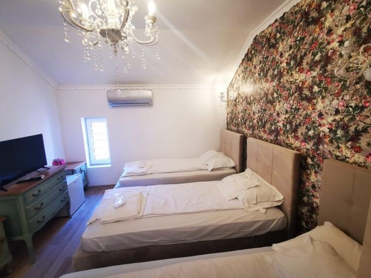 Hanul Potcoava Norocoasa – Business “la cheie“ Ortisoara !! - 5