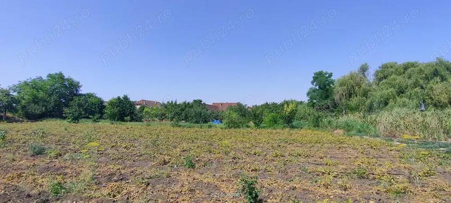 Teren intravilan Lovrin de vanzare - 6