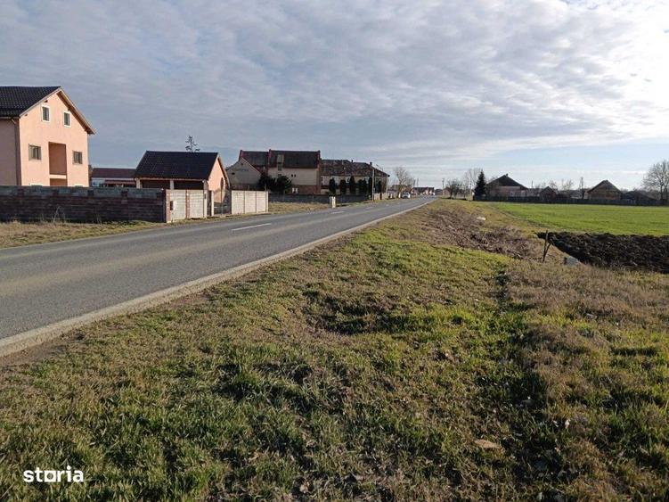 Teren intravilan investitie, Bucovat - 3