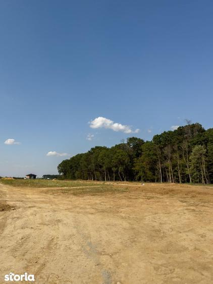 Lot de teren cu autorizatie si proiect casa 500mp Snagov - 9
