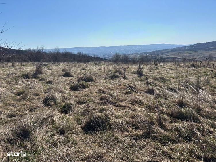 Teren intravilan cu panorama superba - 3