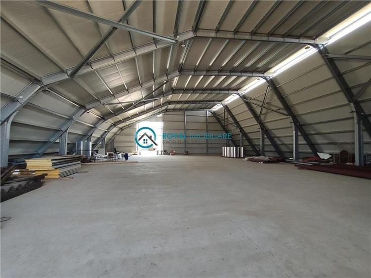 Royal Imobiliare - Inchirieri Spatii industriale/ Hale - 6