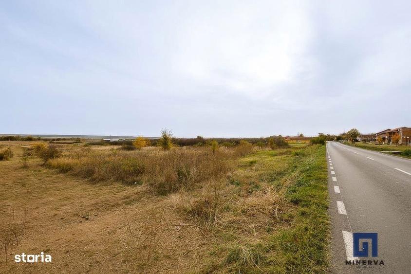 Teren ideal ca investitie, 19000 mp, in Pischia pe DJ691, comision 0 - 8