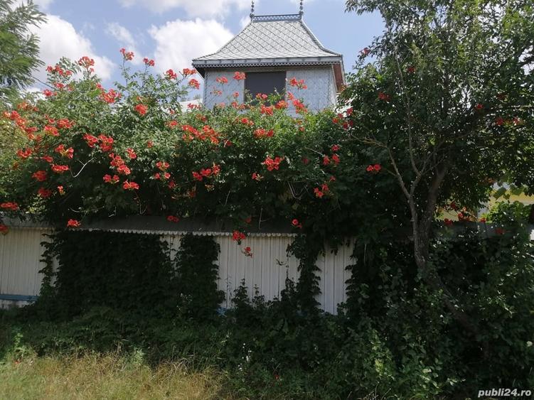Casa in Bacau Dealul Morii - 1
