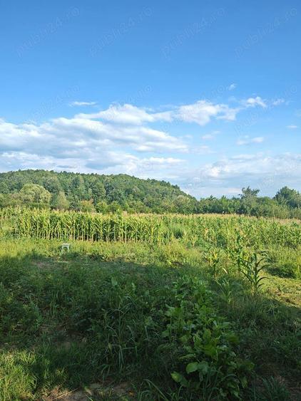 Casa Renovata Bunesti Valcea - 6