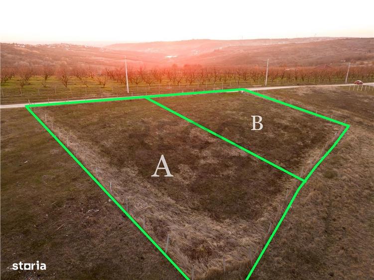 RECO Teren intravilan in Saldabagiu de Munte - 10