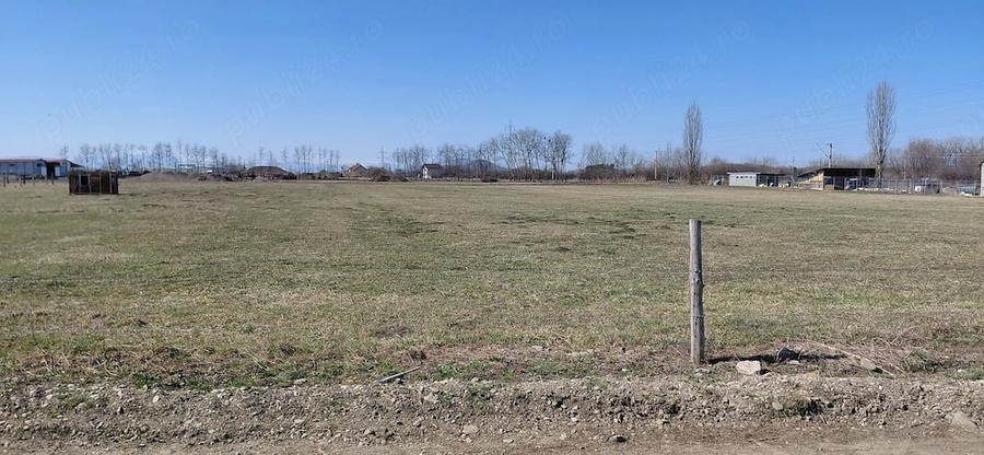 Teren de 11000 mp, în Prejmer