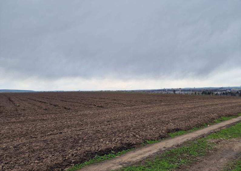 Teren 10,000mp Bacau / Strada Alexandru Safran - 12