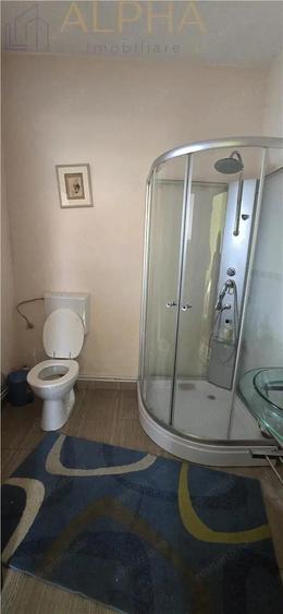 Casa renovata de vanzare Crainimat , BN cu teren 3148 mp - 9