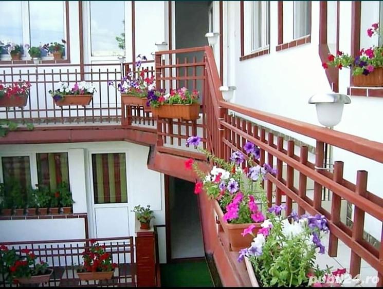 Vila zona Agricultori - 3