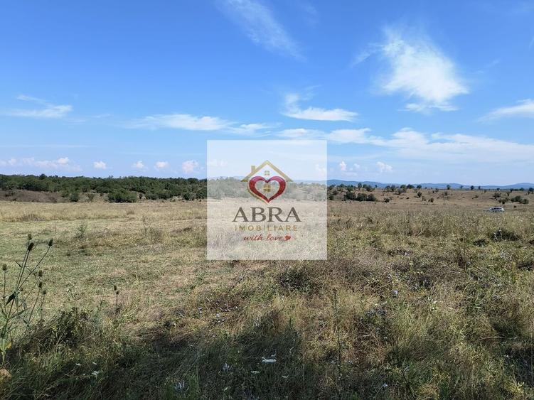 Teren intravilan investitie - 4