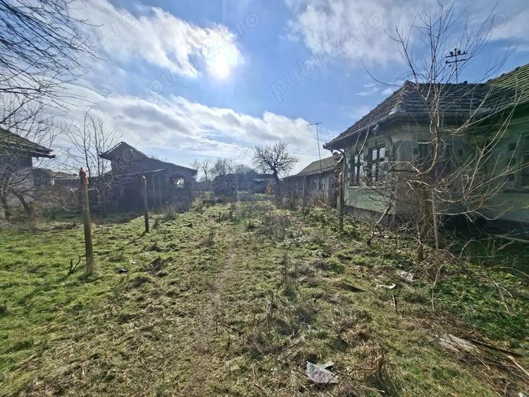 Casa Obarsia de Camp Mehedin?i - 6