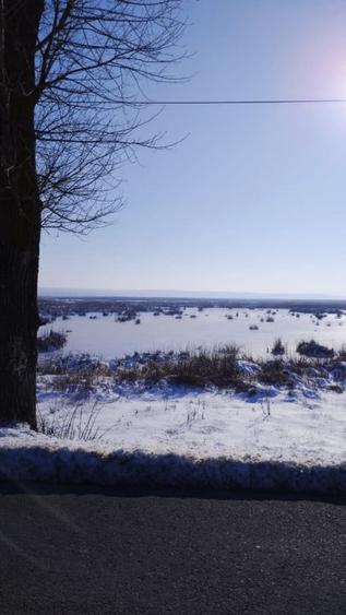 Vand teren intravilan 4000MP cu  dechidere la Delta Neajlovului, Comana GR - 11