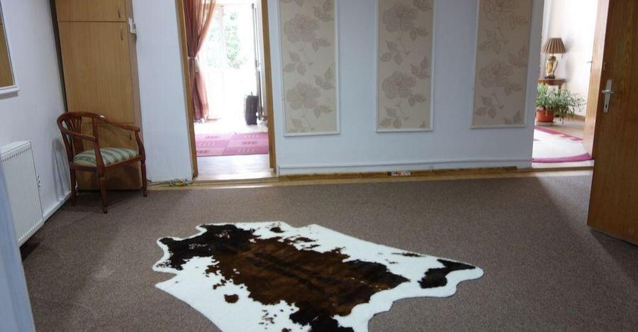 Dacia-Eminescu,vila singur curte +pod inalt,Steren=200mp - 12