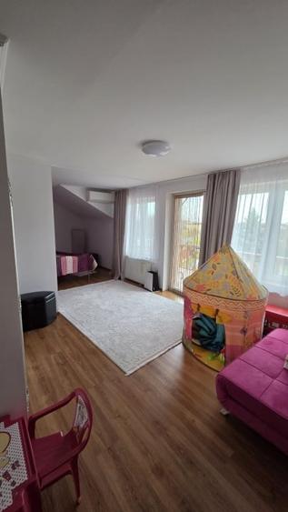 Casa spatioasa cu piscina, crama si teren generos – zona Aurel Vlaicu - 10