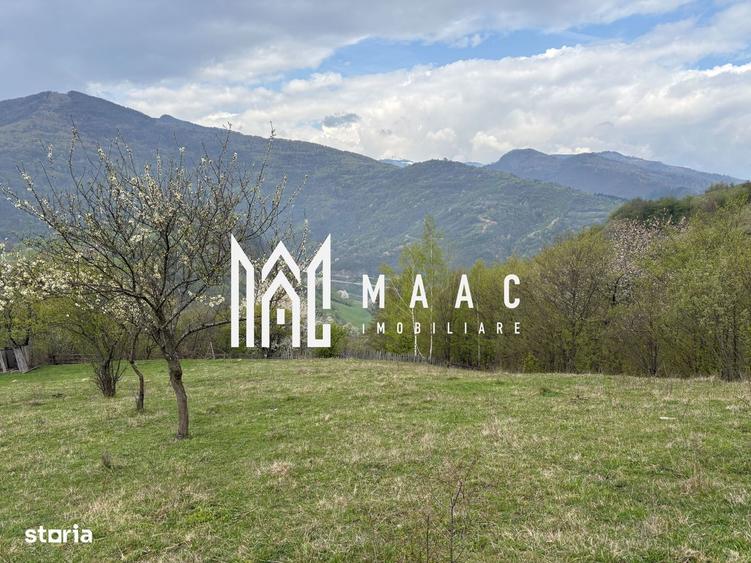 Teren de vanzare, 7750 mp I Orientare sudica I Caineni - 4