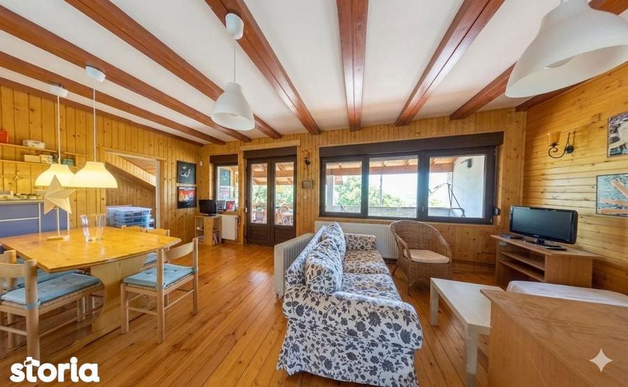 Vila pe lac cu vedere la padure - Pasarea - Branesti - 16