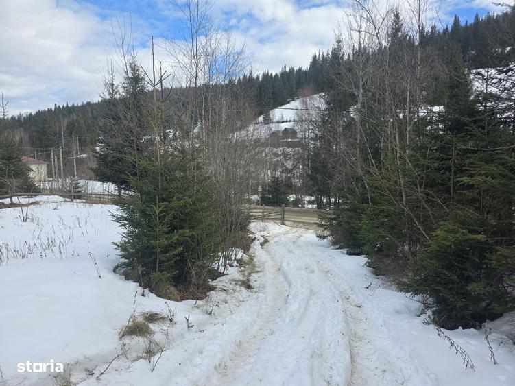 Teren intravilan 15.000 mp (1,5 ha) langa Parcul Calimani - 5