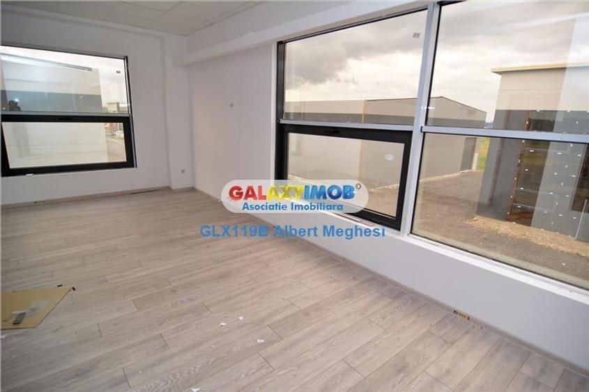 Vanzare Spatiu Depozitare/Hala Centura-Mogosoaia - 13