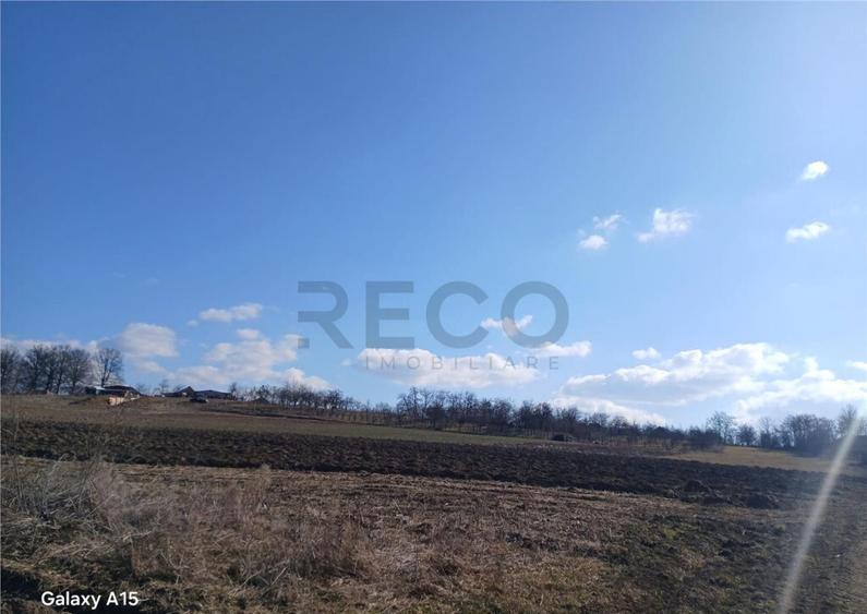 RECO teren Mierlau - 1