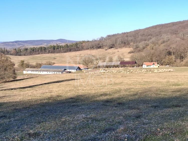 Ferma complet echipata de vanzare – zona Agnita, judetul Sibiu - 2