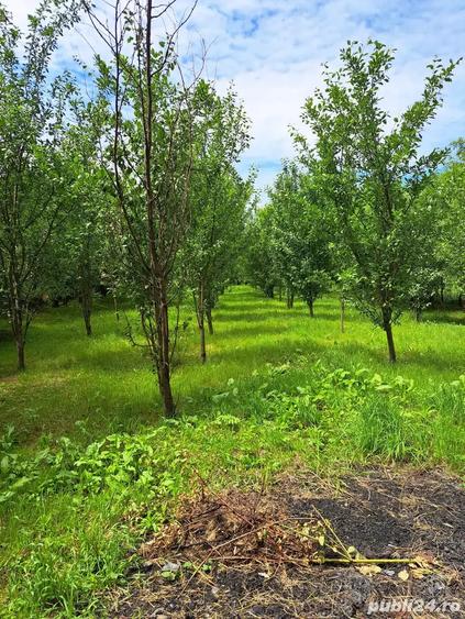 casa de vanzare Gurba - 1