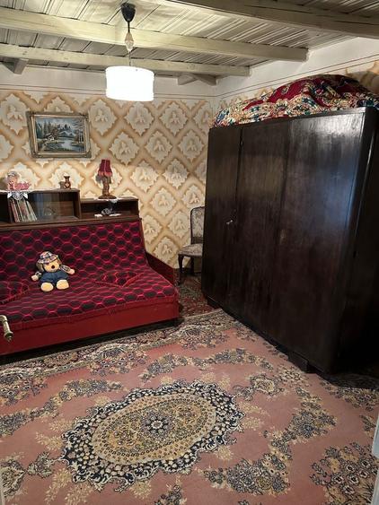 Vand casa batraneasca + teren Ograzile, Merei - 3