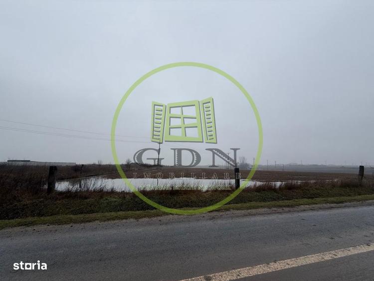 Teren intravilan, 22.000 mp, Ghercesti - 1
