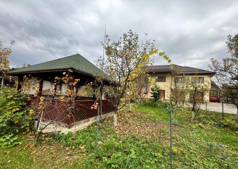 CASA DE VIS SAU AFACERE DE SUCCES BAIA SPRIE - 5