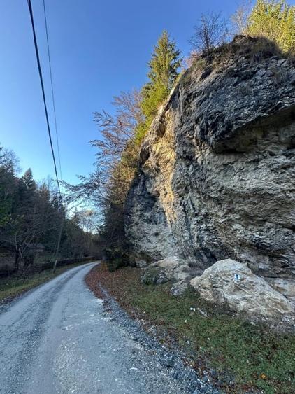 Teren 2.882 mp – oportunitate investitie - Cheile Dambovicioarei - 1