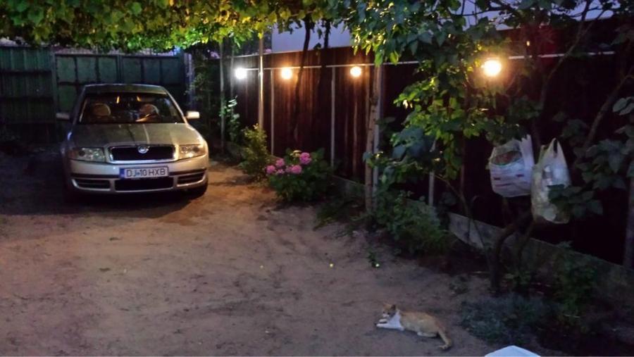 Casa Malu Mare teren 500mp - 7