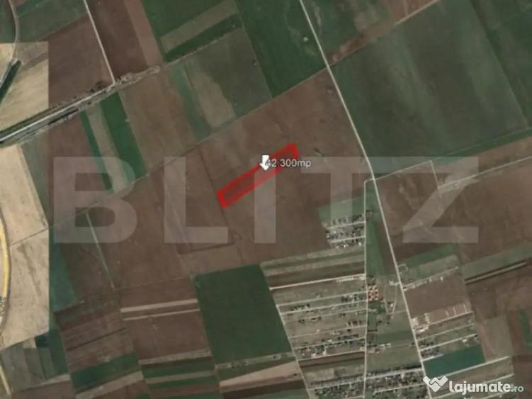 Teren de vanzare 42.300 mp, Harman - Tarlungeni - 1