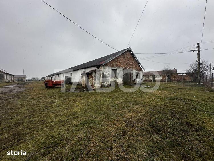 Teren de vanzare 8380 mp cu anexa de 1538 mp in Mohu - 5