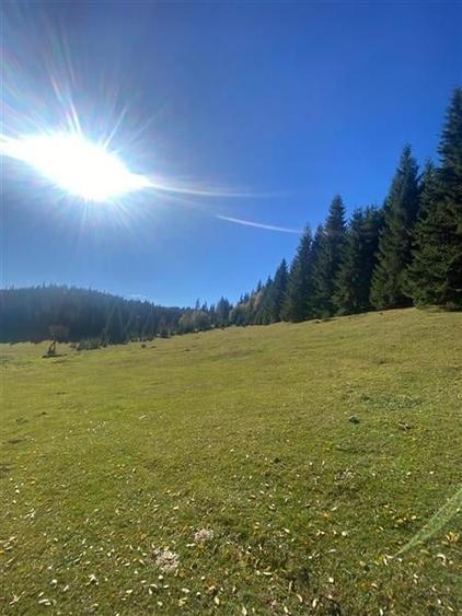 NOU - Teren extravilan la Poiana Horea - Belis - 16.000 mp - 2