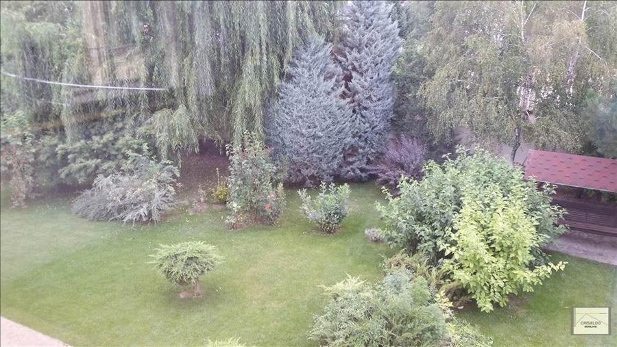 Proprietate impresionanta Padurea Baneasa - Iancu Nicolae - 5