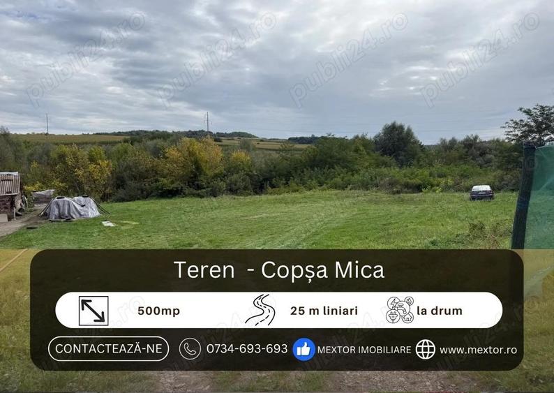 Teren Copsa Mica - 3