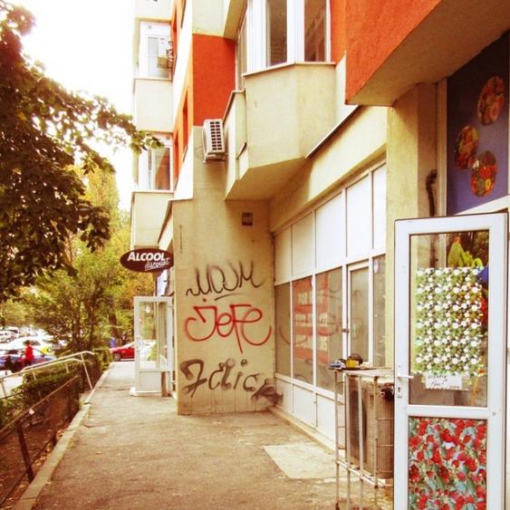 Inchiriere spatiu comercial Teiul Doamnei - 12