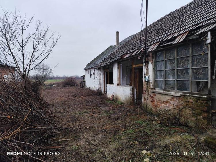 Vand teren intravilan cu casa la Salard - 4