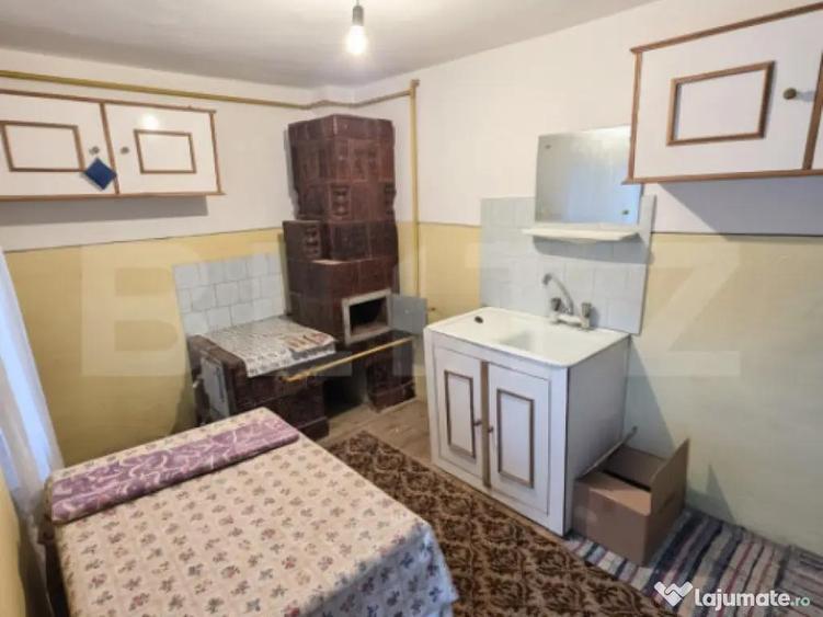 Gospodarie Completa, 130 mp, 1.300 mp Teren, Doice?ti - 5