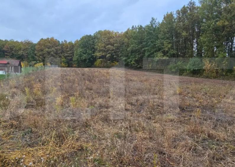 Teren intravilan parcelat - 2882 mp - Sat Bejan - 2