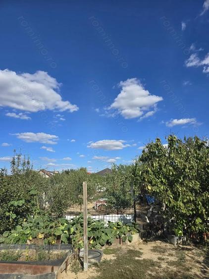 Parta-casa si teren 719 mp-parter - 15