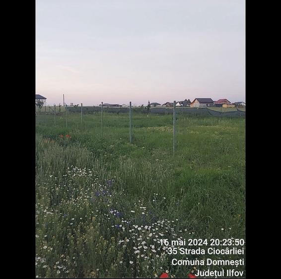 Vand Teren Intravilan Domnesti - 3