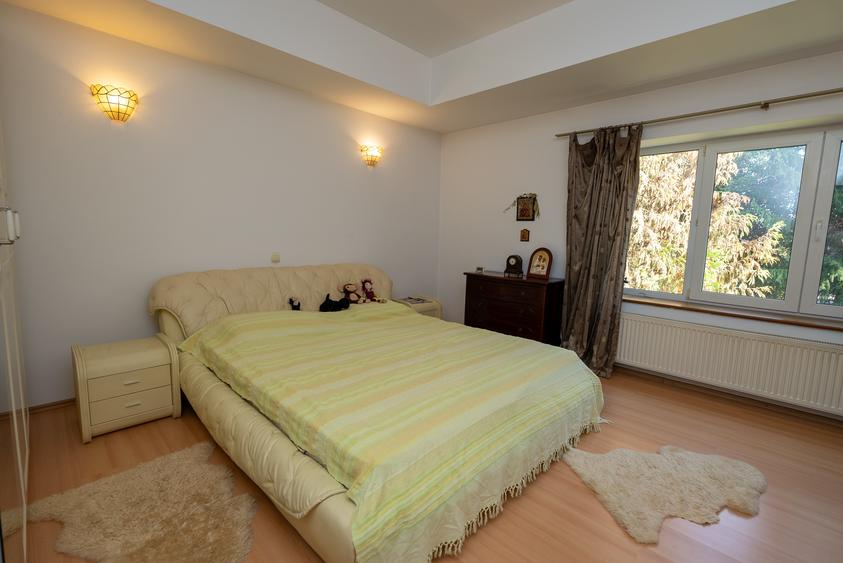 Iancu Nicolae: Vila individuala cu piscina si un teren de 800 mp !! - 29