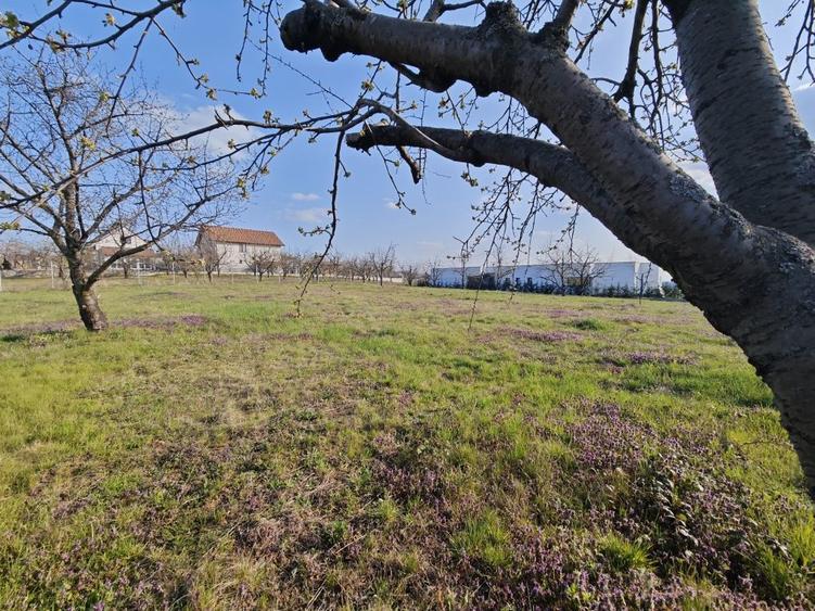 Teren intravilan premium cu panorama spectaculoasa asupra Oradiei - 3