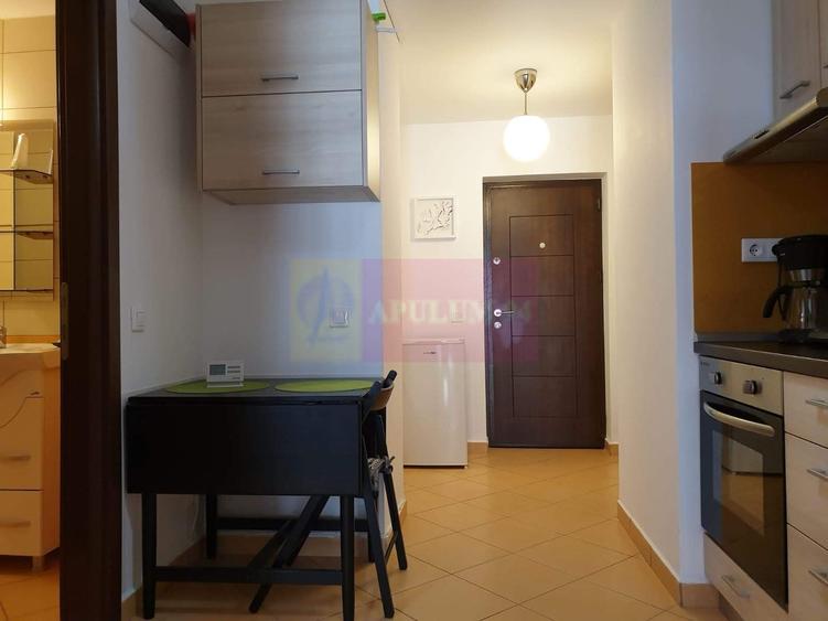 Apartament de vanzare la Sinaia - 9