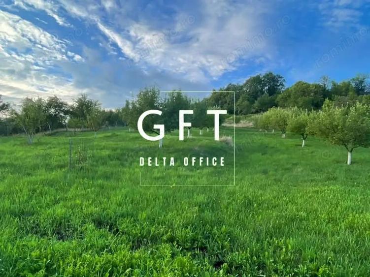 PARCELE TEREN INTRAVILAN 5-29.2 ARI - DOROLEA - 6