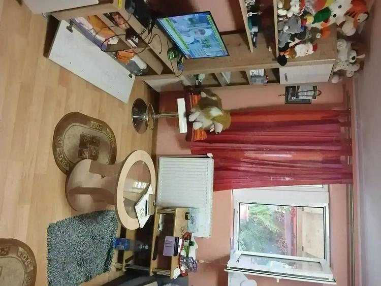 Casa deosebita de vanzare - 3