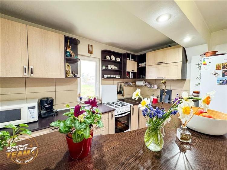 Ansamblu:doua case+anexe+domeniu de 10.101mp, Intorsura Buzaului,Covasna: FILM& - 18